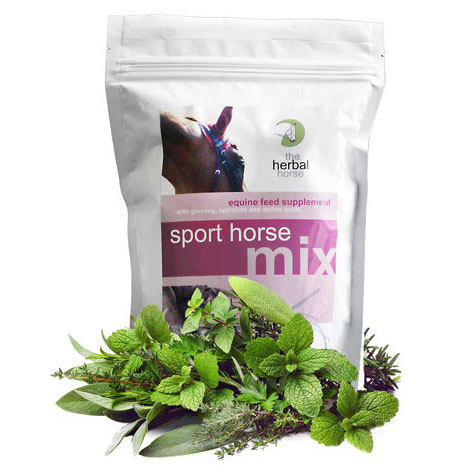 Sport Horse Mix